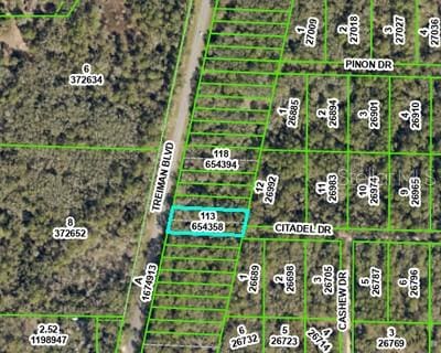 Listing photo 3 for 8380 Treiman Blvd, Webster FL 33597