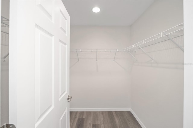 spacious closet with wood-type flooring