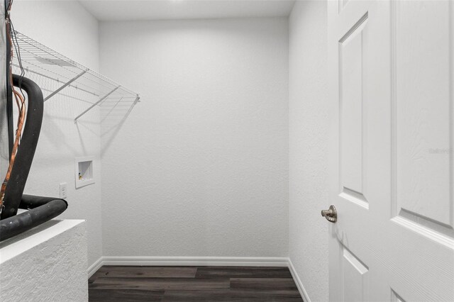 spacious closet with hardwood / wood-style floors