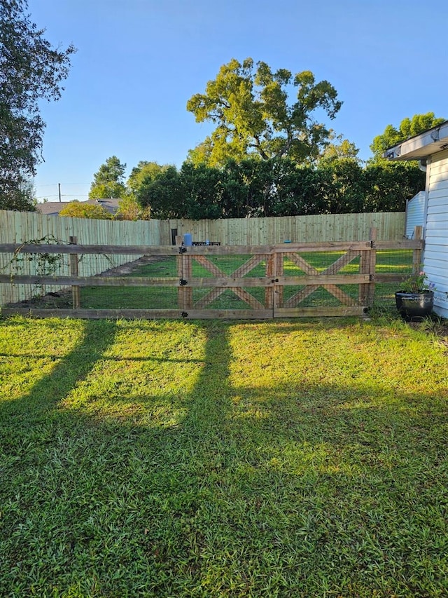 view of yard