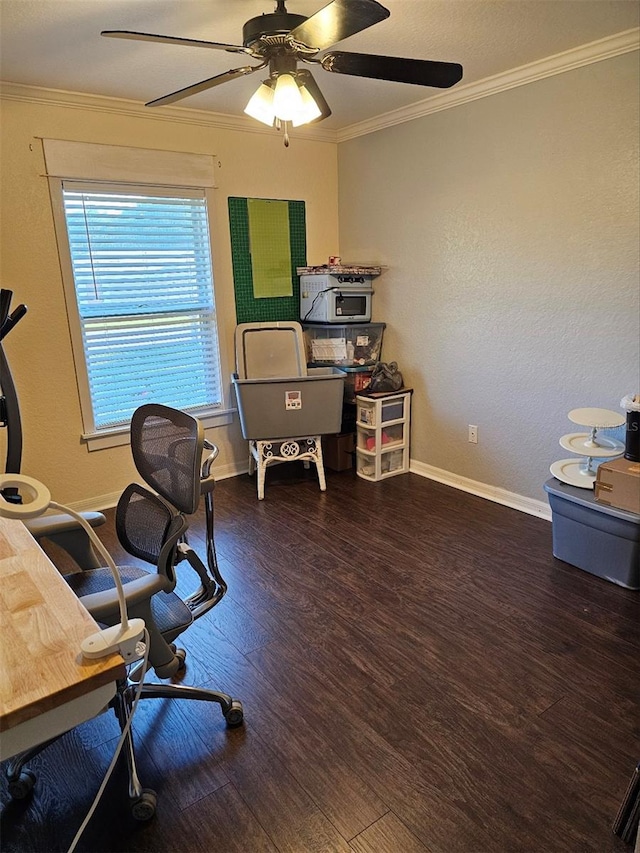 home office with dark hardwood / wood-style floors, ceiling fan, and ornamental molding