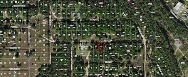 2003 Falkner St, Inverness, FL 34453