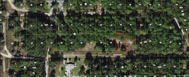 1912 Falkner St, Inverness FL, 34453 land for sale