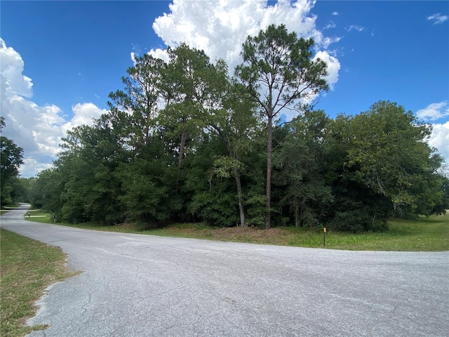 Listing photo 2 for LOT57 SW 203rd Ave, Dunnellon FL 34431