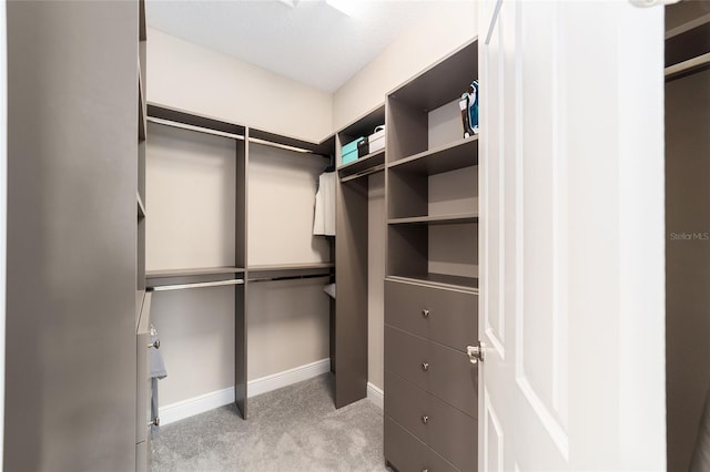 walk in closet featuring light colored carpet