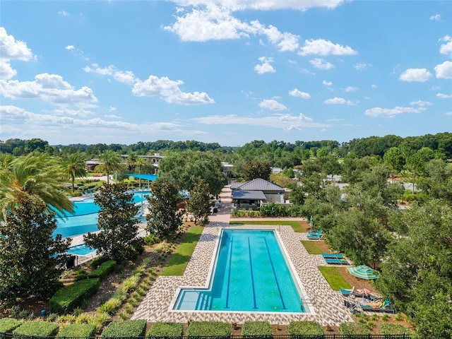 view of swimming pool with a patio