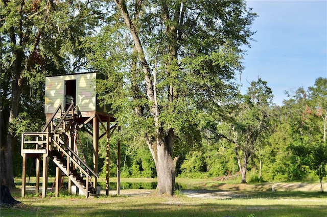 view of jungle gym