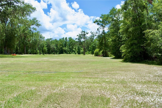 view of local wilderness