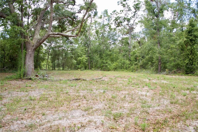 view of local wilderness