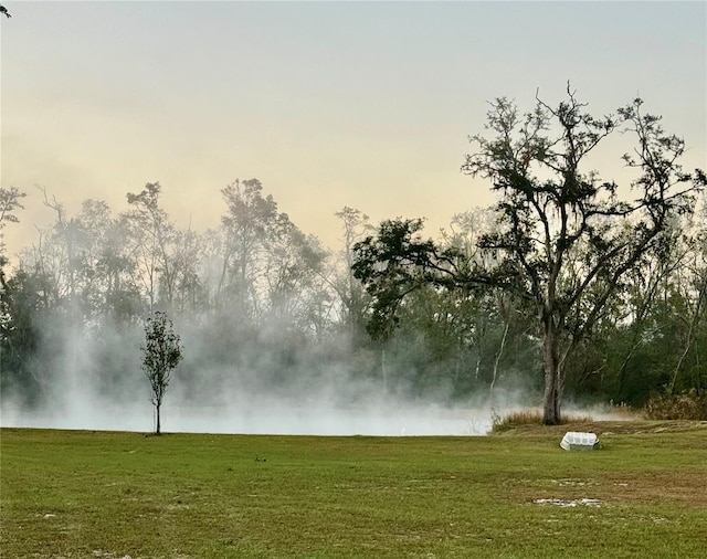 view of home's community with a lawn