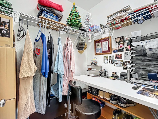 view of spacious closet