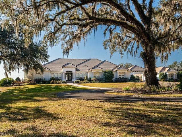 ranch-style house featuring a front yard