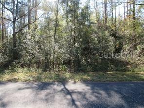 Listing photo 2 for 0000 SW Monaco Ct, Dunnellon FL 34431