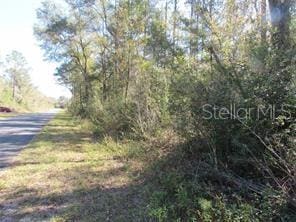 Listing photo 3 for 0000 SW Monaco Ct, Dunnellon FL 34431