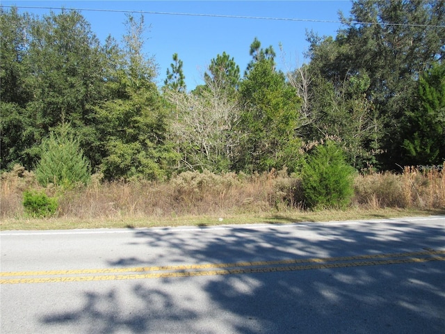 Listing photo 2 for 0000 SW Marine Blvd, Dunnellon FL 34431