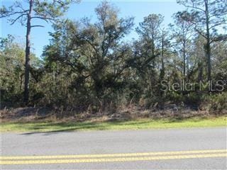 0000 SW Ivy Pl, Dunnellon FL, 34431 land for sale