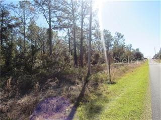 Listing photo 3 for 0000 SW Ivy Pl, Dunnellon FL 34431