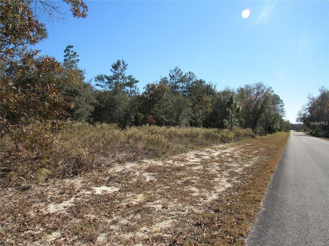 0000 SW Sands Point Ave, Dunnellon FL, 34431 land for sale