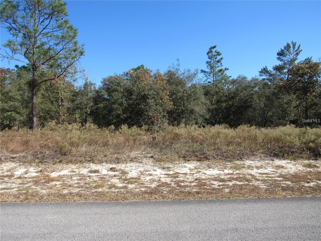 Listing photo 3 for 0000 SW Sands Point Ave, Dunnellon FL 34431