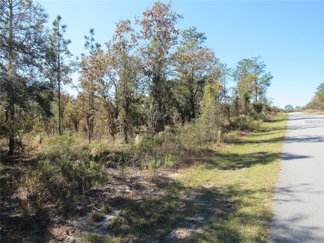 0000 SW Plaza Ct, Dunnellon FL, 34431 land for sale