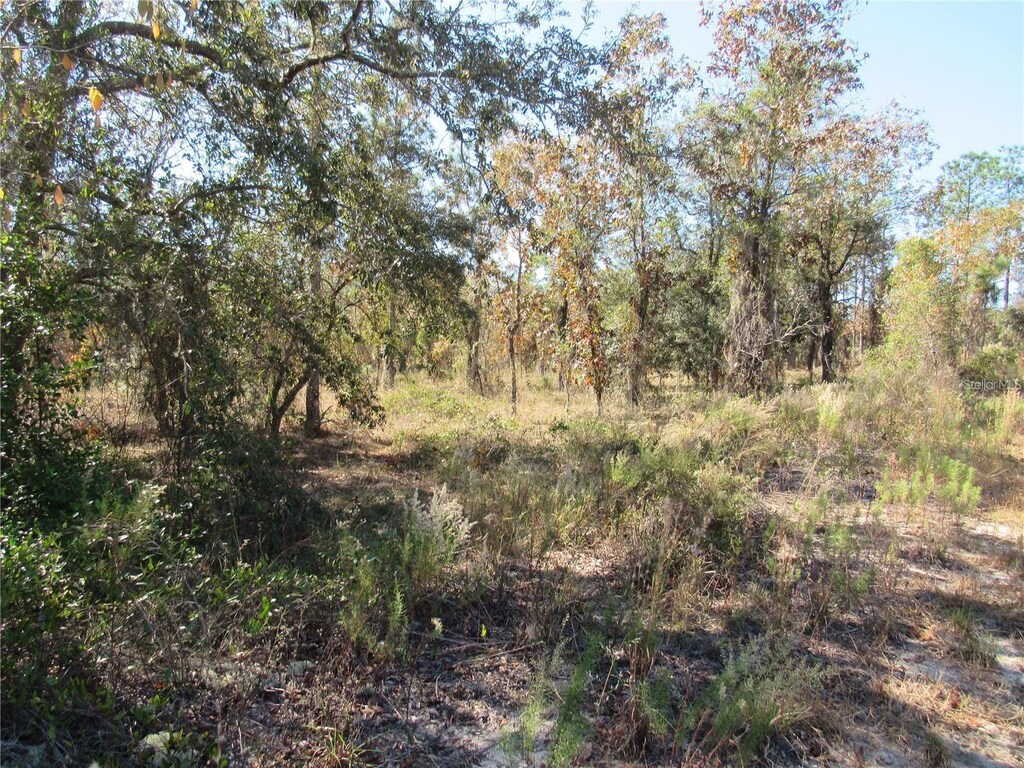 0000 SW Plaza Ct, Dunnellon, FL 34431