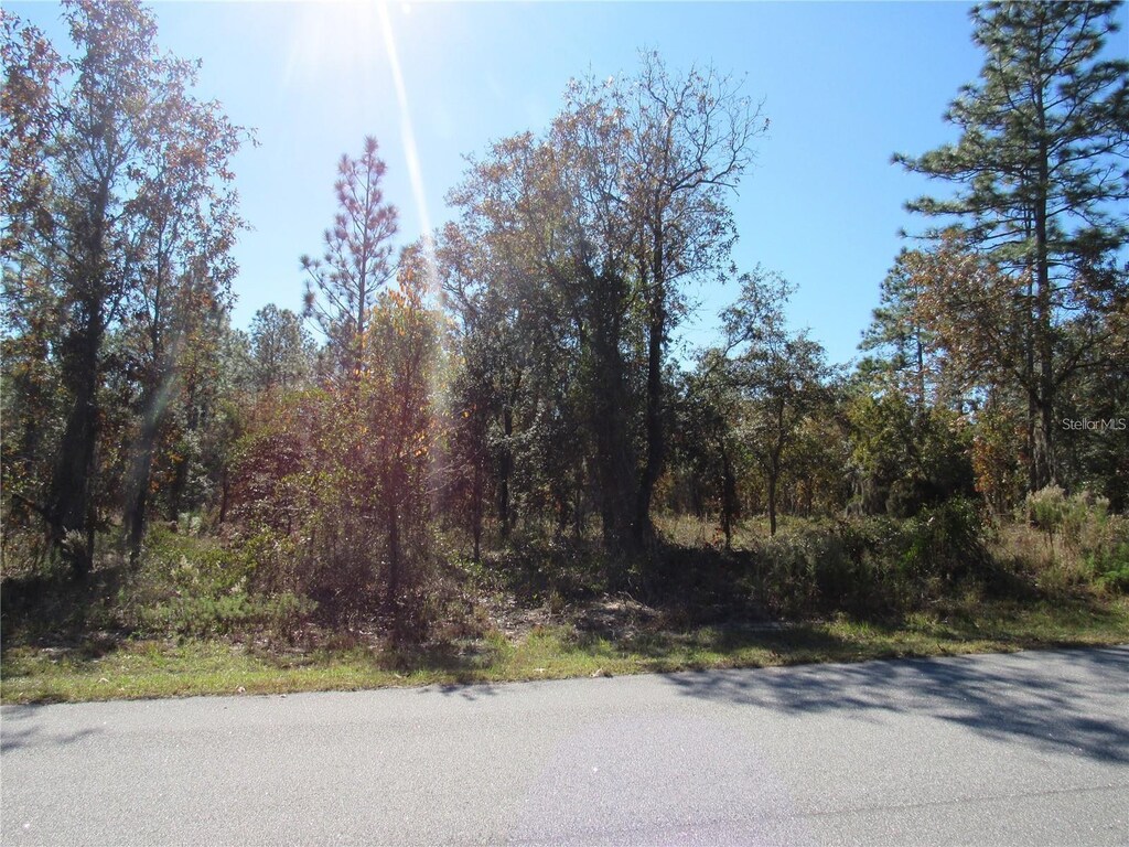 0000 SW Plaza Ct, Dunnellon, FL 34431