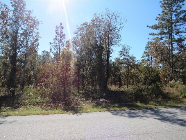 Listing photo 3 for 0000 SW Plaza Ct, Dunnellon FL 34431