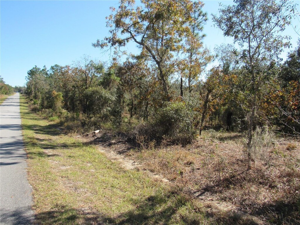 0000 SW Plaza Ct, Dunnellon, FL 34431