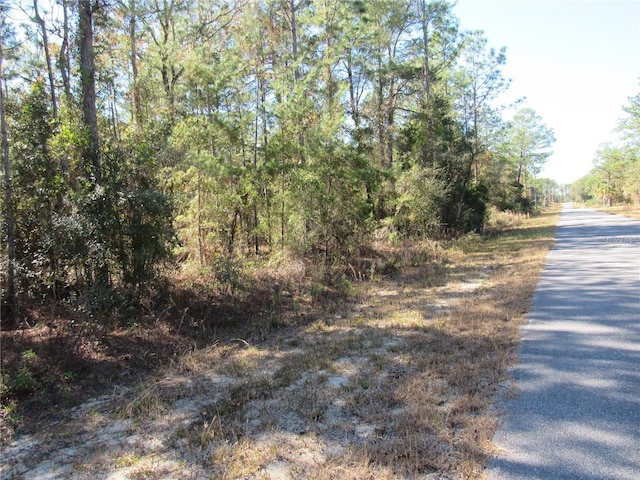 0000 SW Beaver Dr, Dunnellon FL, 34431 land for sale