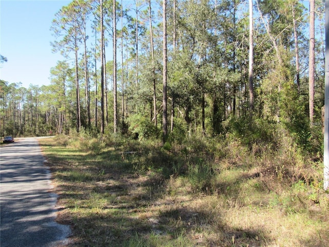 0000 SW Nautilus Blvd, Dunnellon FL, 34431 land for sale