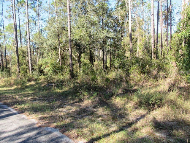 Listing photo 2 for 0000 SW Nautilus Blvd, Dunnellon FL 34431