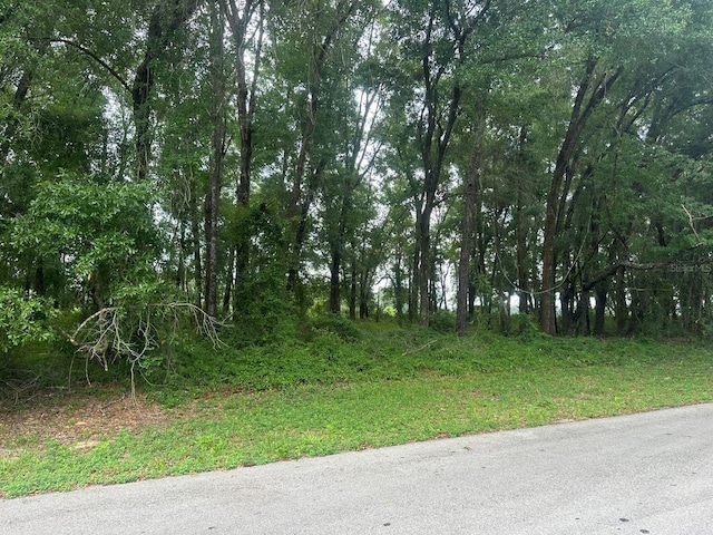 0 SW 168th Loop, Ocala FL, 34473 land for sale