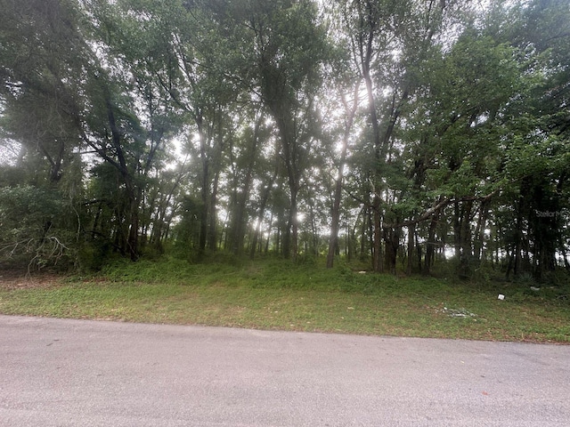 0 SW 168th Loop, Ocala, FL 34473