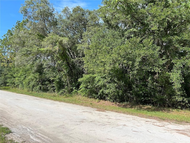 TBD SE 140th Ave, Morriston FL, 32668 land for sale