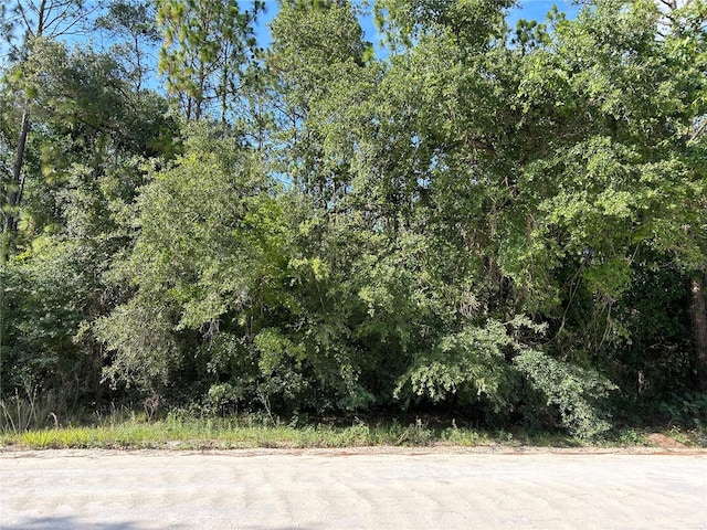 Listing photo 2 for TBD SE 140th Ave, Morriston FL 32668