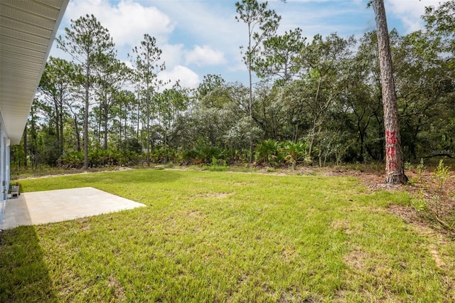 view of yard with a patio