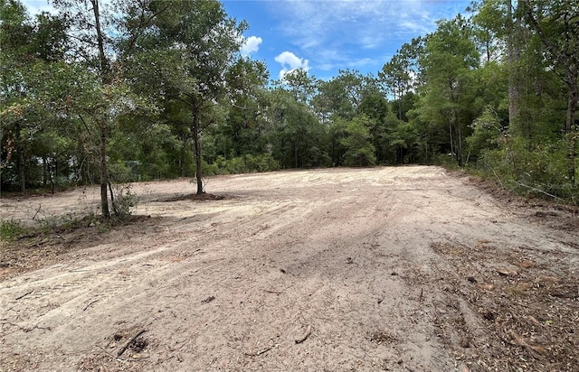 000 SW 202nd Ct, Dunnellon FL, 34431 land for sale