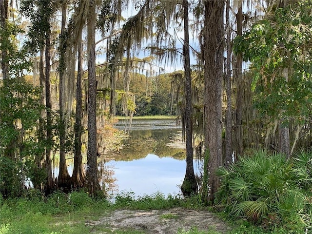 view of water feature