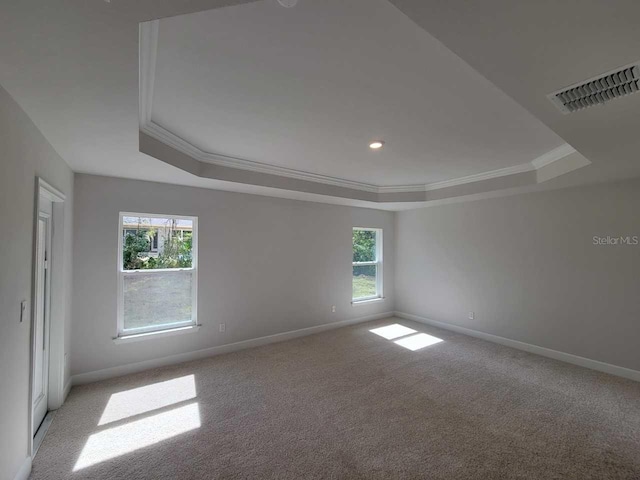 empty room with light carpet, a raised ceiling, and a wealth of natural light