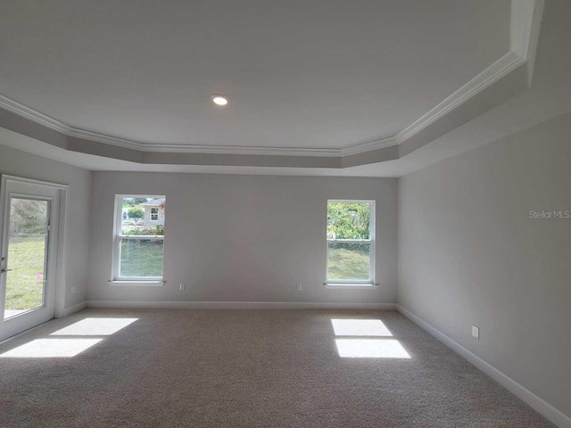 carpeted empty room featuring plenty of natural light, ornamental molding, and a tray ceiling