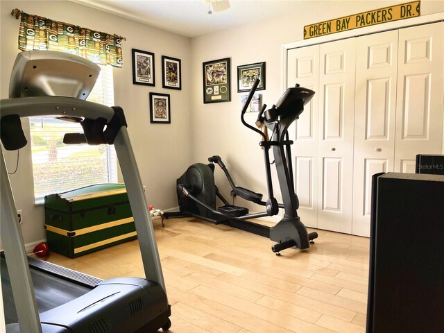 exercise area featuring hardwood / wood-style flooring