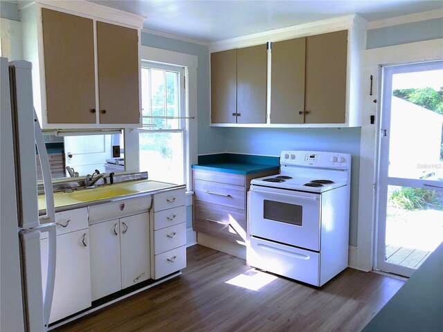 kitchen with sink, hardwood / wood-style flooring, white appliances, and a wealth of natural light