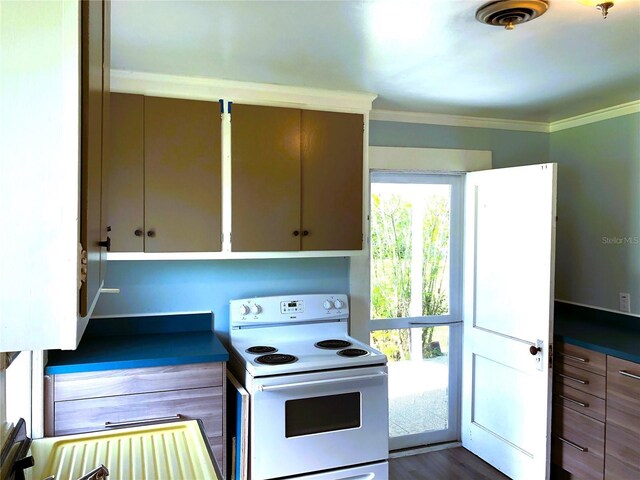 kitchen with crown molding, dark hardwood / wood-style flooring, and white range with electric stovetop