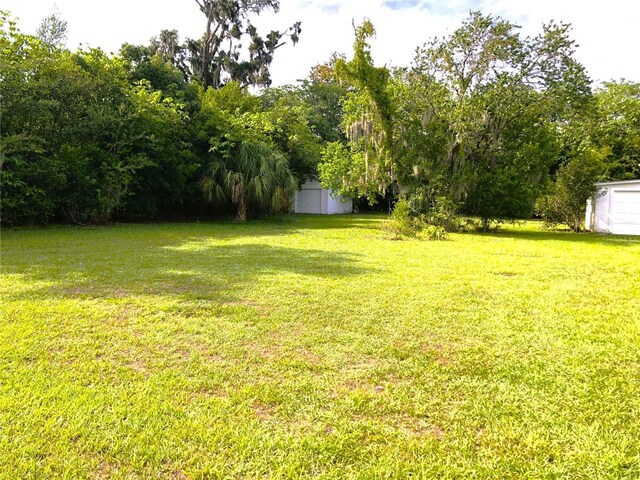 view of yard with a storage shed