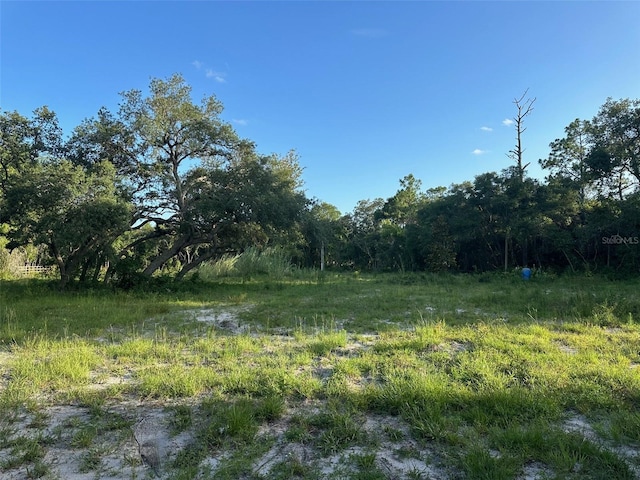 7772 SW 151st Pl, Dunnellon FL, 34432 land for sale