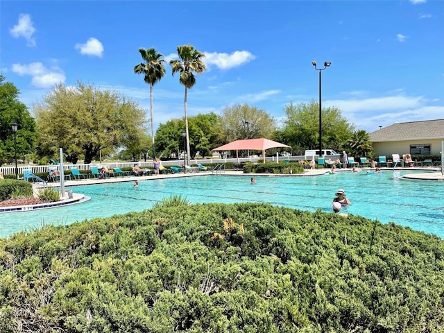 view of swimming pool