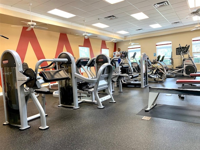 exercise room featuring ceiling fan, a drop ceiling, and ornamental molding