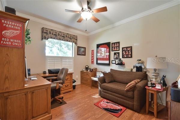 home office featuring ceiling fan, light wood-type flooring, and crown molding