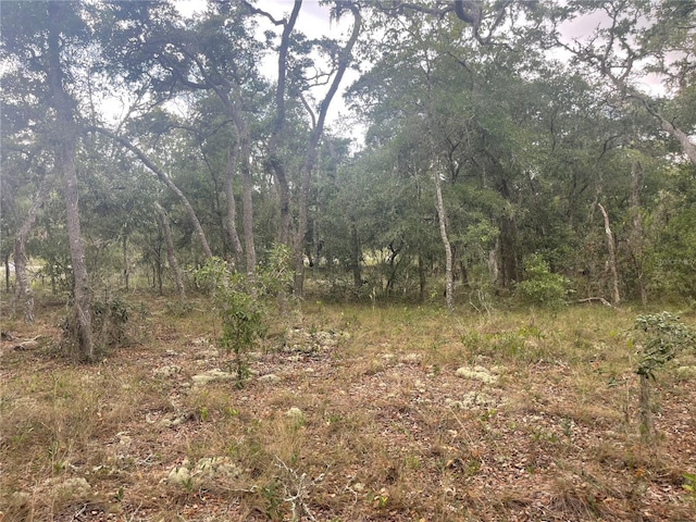 Listing photo 2 for 00000 SW Willolw Rd, Dunnellon FL 34431