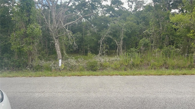 Listing photo 3 for 00000 SW Willolw Rd, Dunnellon FL 34431